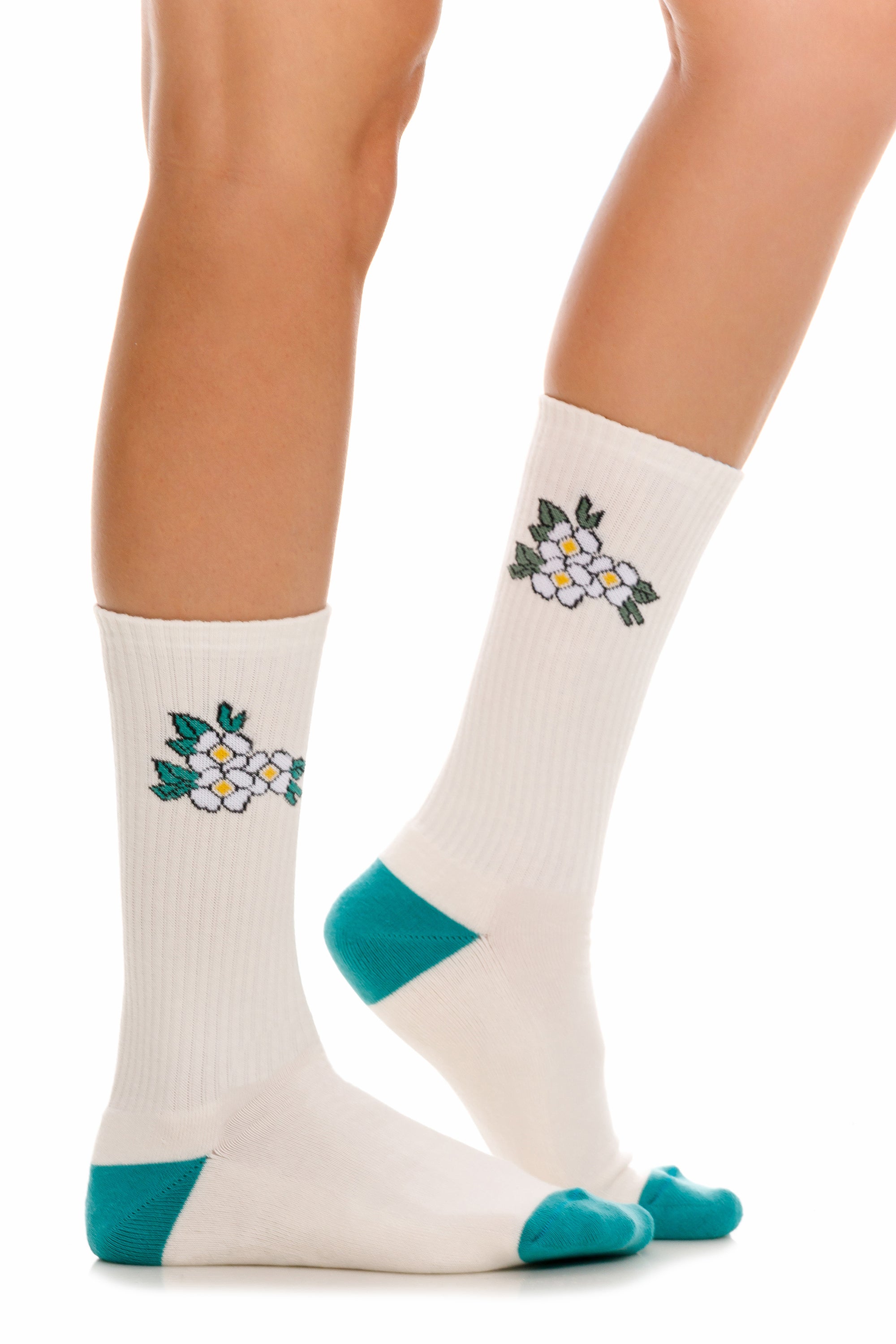 Tripack socks nopal