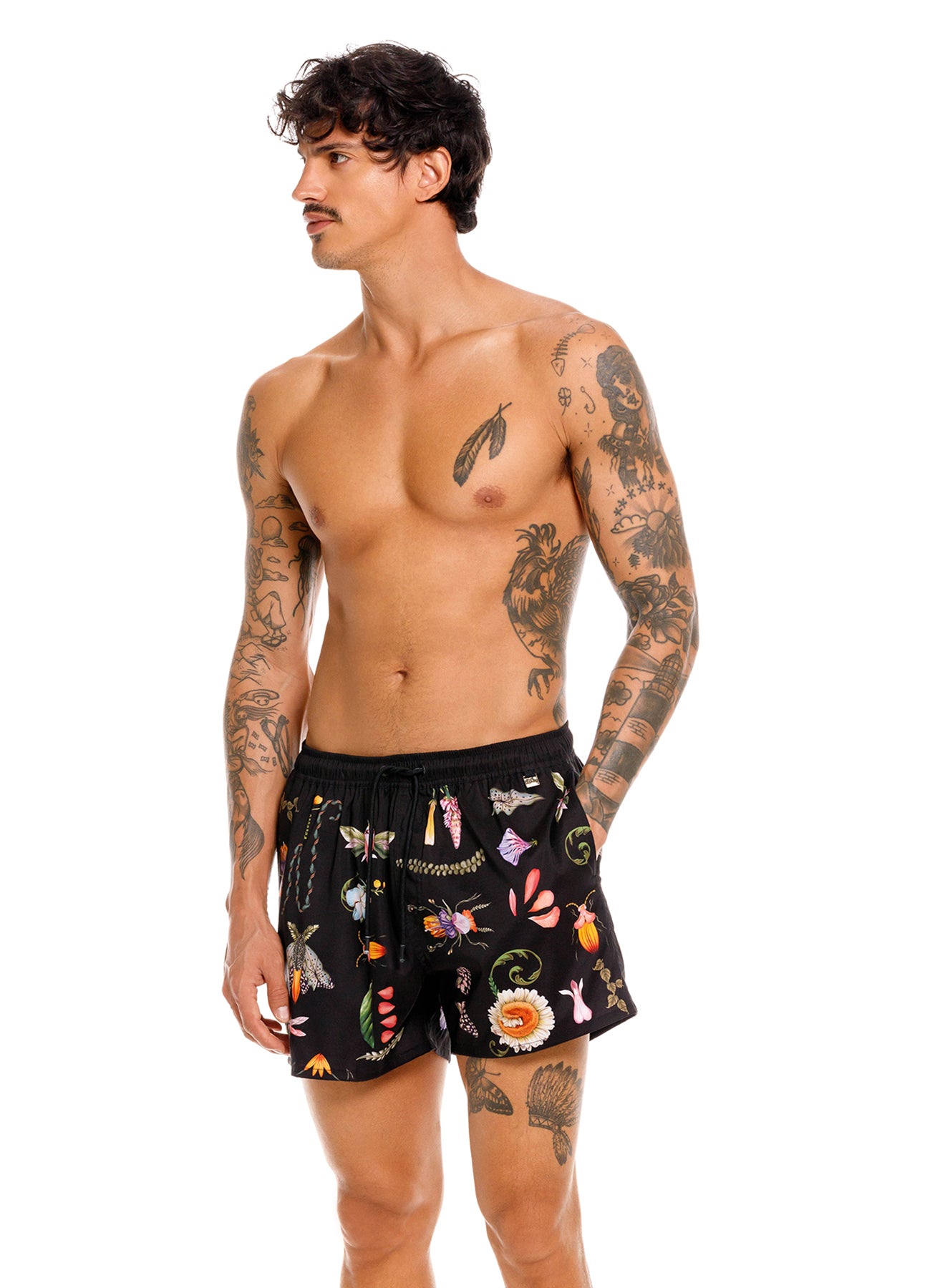 Cassius trunk ambar
