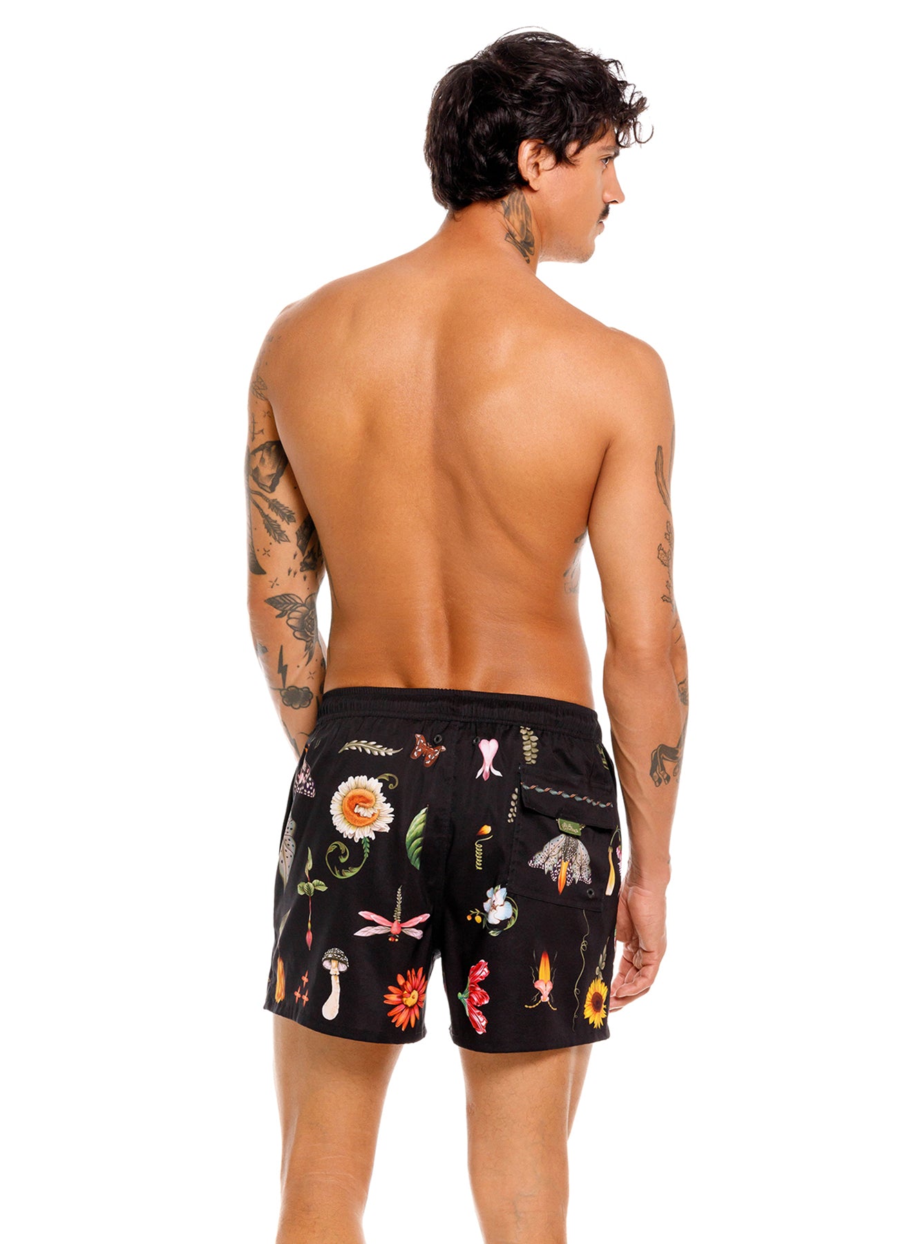 Cassius trunk ambar